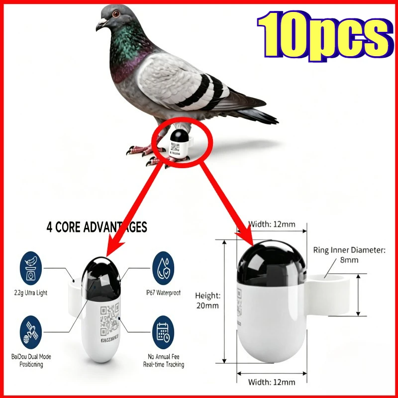1-10 pièces Anneau GPS professionnel et précis avec fonction d'analyse des données de vitesse, utilisé pour le localisateur d'entraînement quotidien des pigeons de course