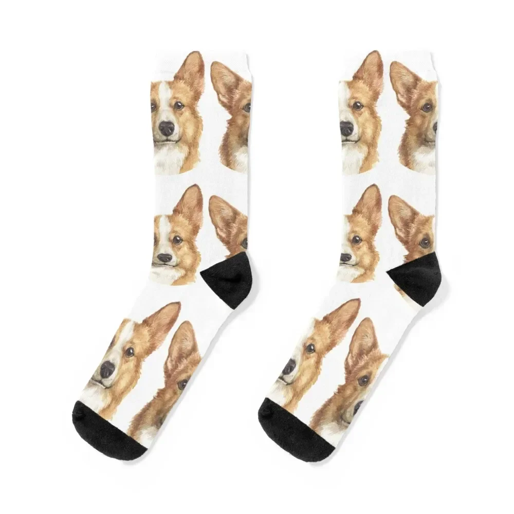 Pembroke Welsh Corgi Watercolor Art Socks christmas stocking anti-slip Men Socks Luxury Brand Women's