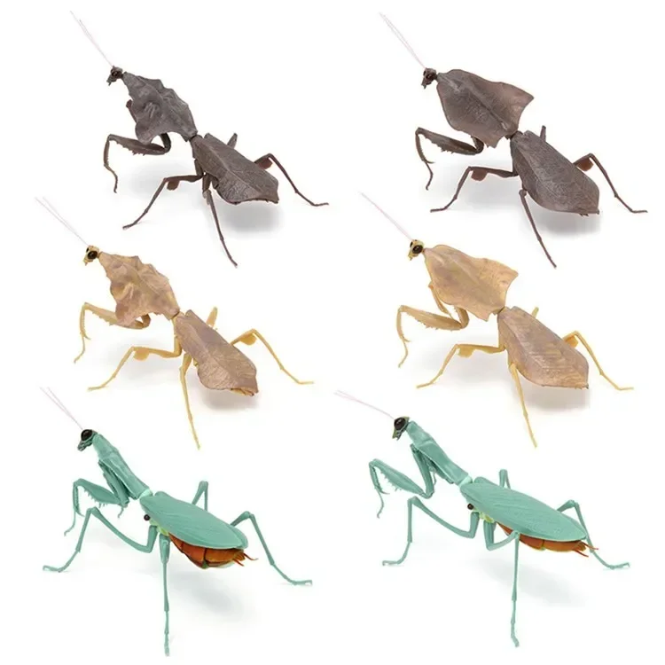 Insects Gashapon Big Picture Book Series Mantis Spider Scorpion Wasp Simulation Insect Action Figure Model Toys