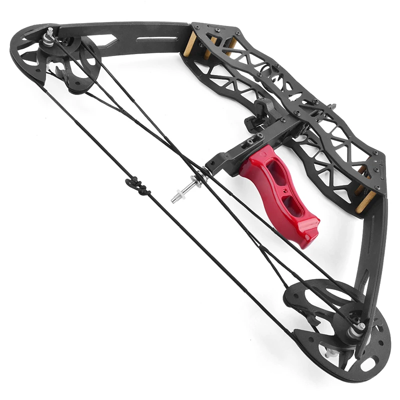 

Hunting Fishing Competition Compound Bow for Shooting Archery Arrow 28 Lbs