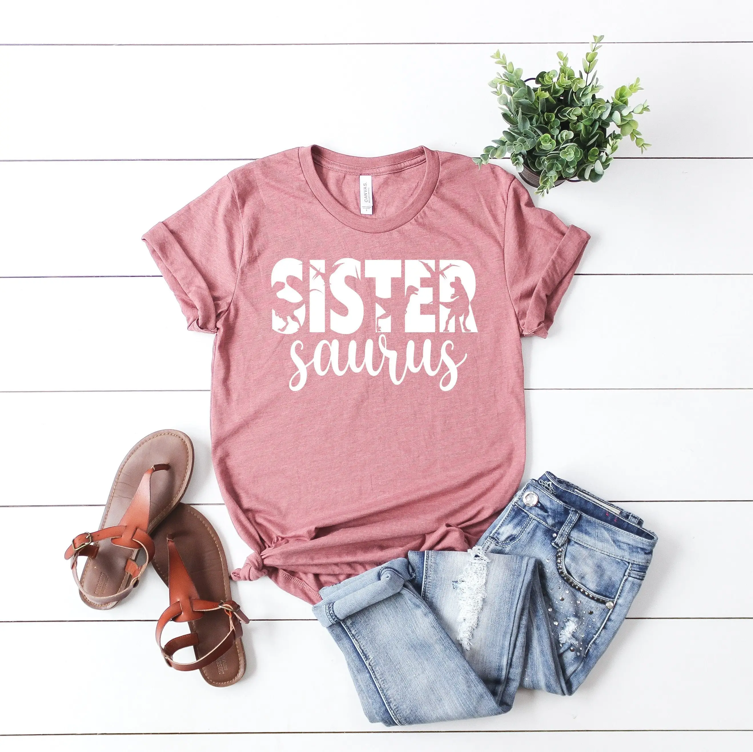 Sister Saurus T Shirt Dinosaur Sistersaurus for Family