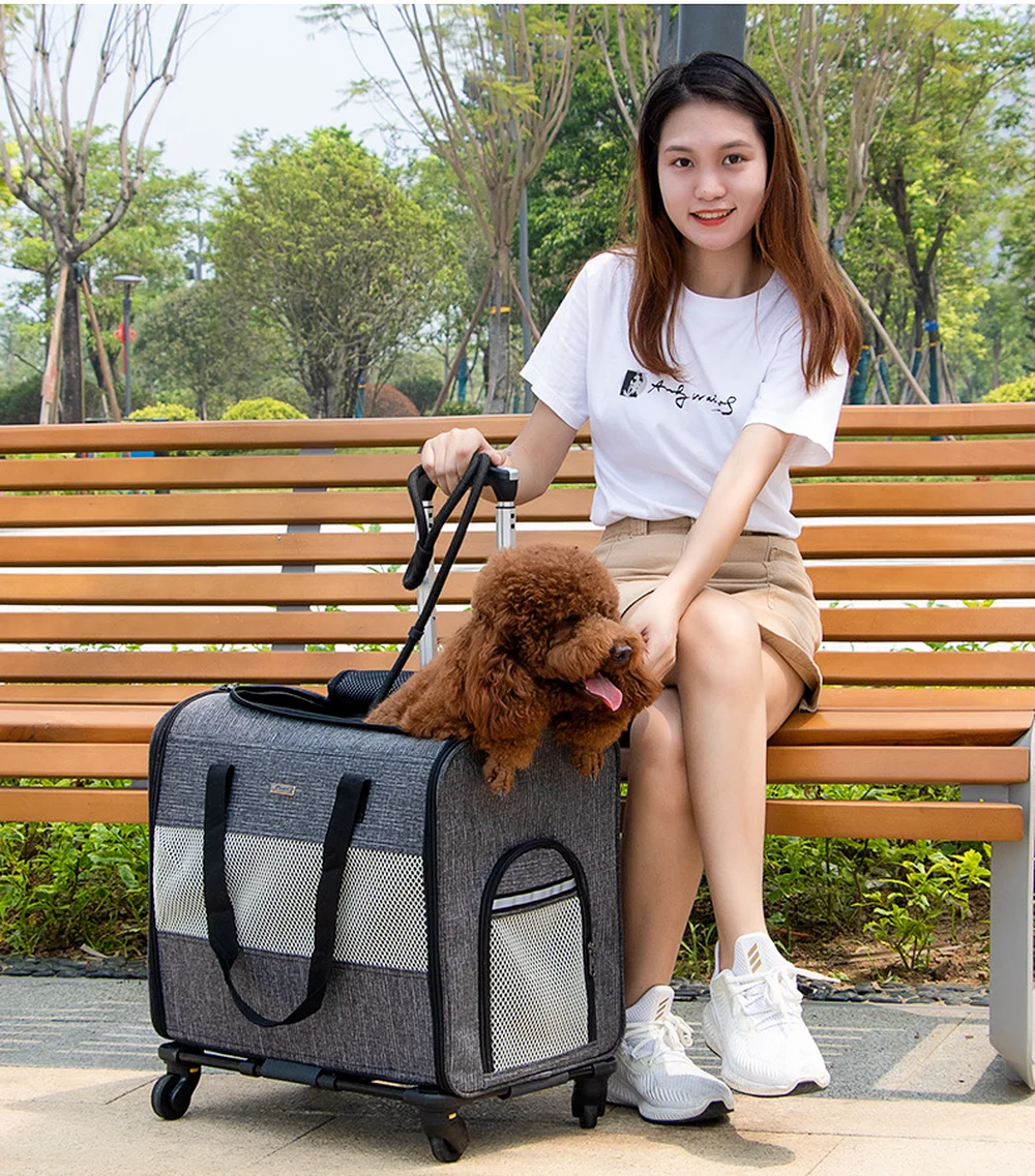 

Pet Trolley Bag Dog Telescopic Pull Rod Case Outdoor Portable Cat Stroller Collapsible Pet Bag Load Bearing 15kg