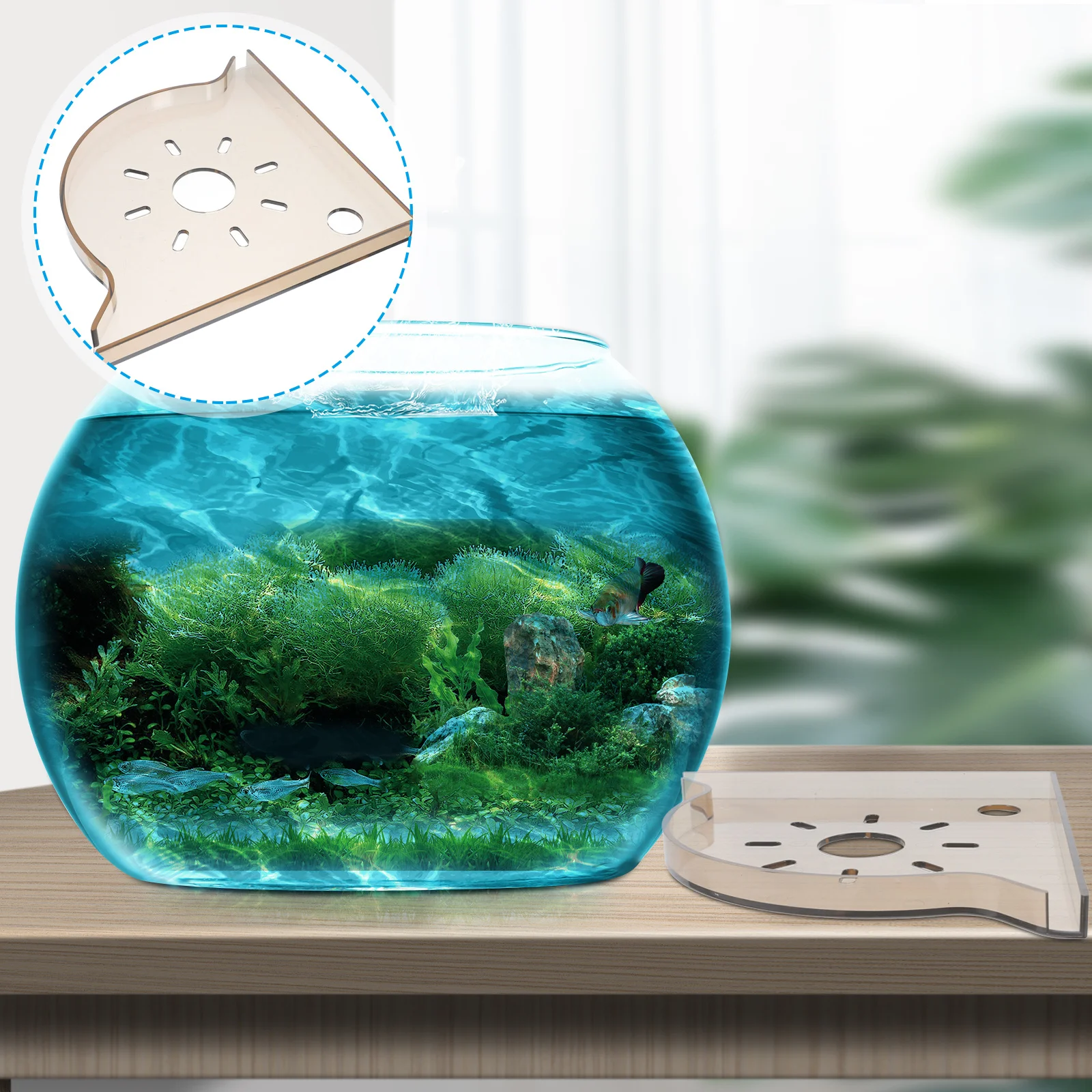 

Fish Tank Corner Storage Rack Aquarium Supply Equipment Shelf for Live Plants Organizer Abs