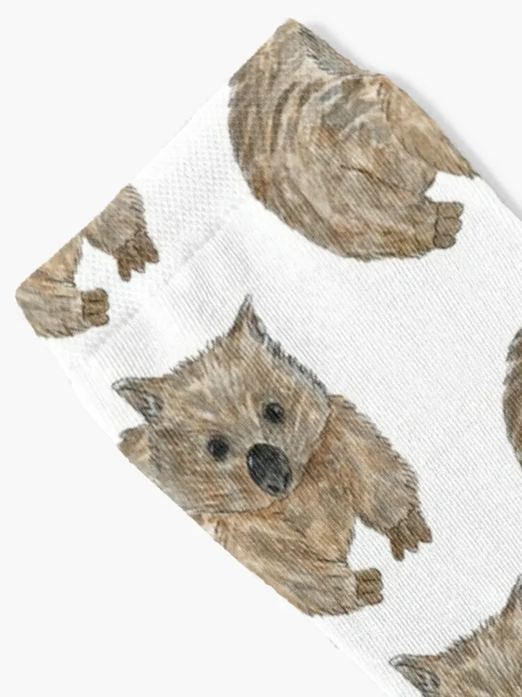 Wombat - Australian Animal painting Socks Happy Socks Men