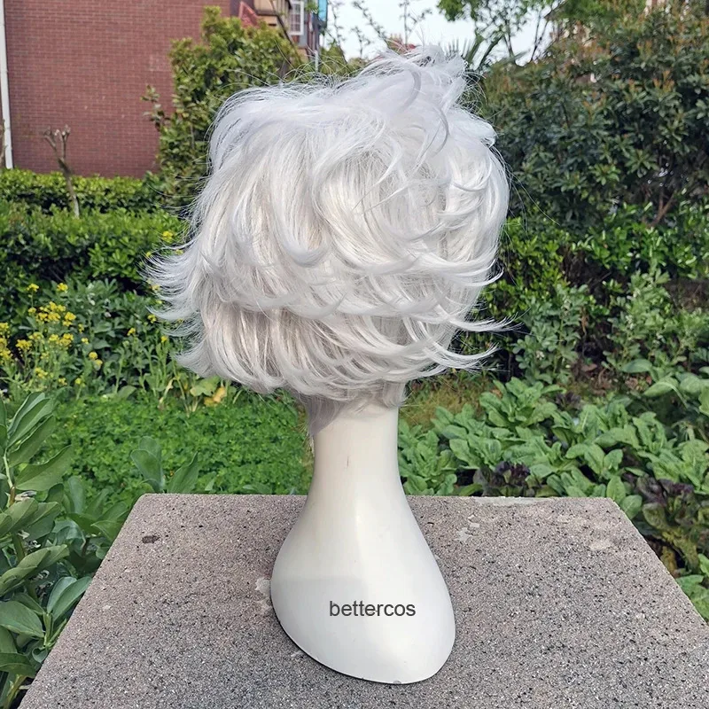 Gintama Gintoki Sakata Cosplay Wigs Short Silver White Heat Resistant Synthetic Hair + Wig Cap view 4