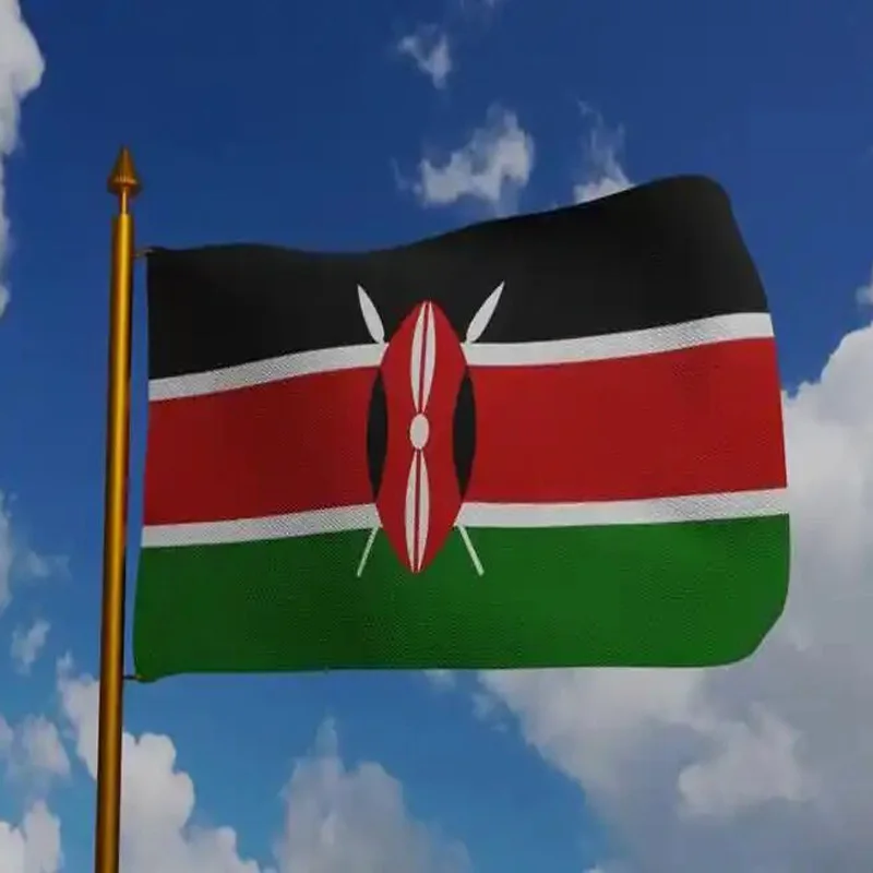 5 Pcs/lot Kenya National Flag 90x150cm Kenya Flag The Republic of Kenya National Flag wholesale