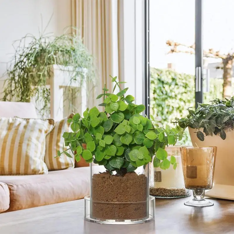 Clear Plant Pots With Drainage Clear Potting Containers For Plants Reusable Acrylic Cups Saucers Tray With Drainage For Seedling