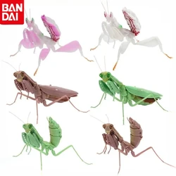 Bandai Genuine Spot Insects Series Mantis Spider Scorpion Wasp Simulation Insect Different Style Models Action Figure Model Toys