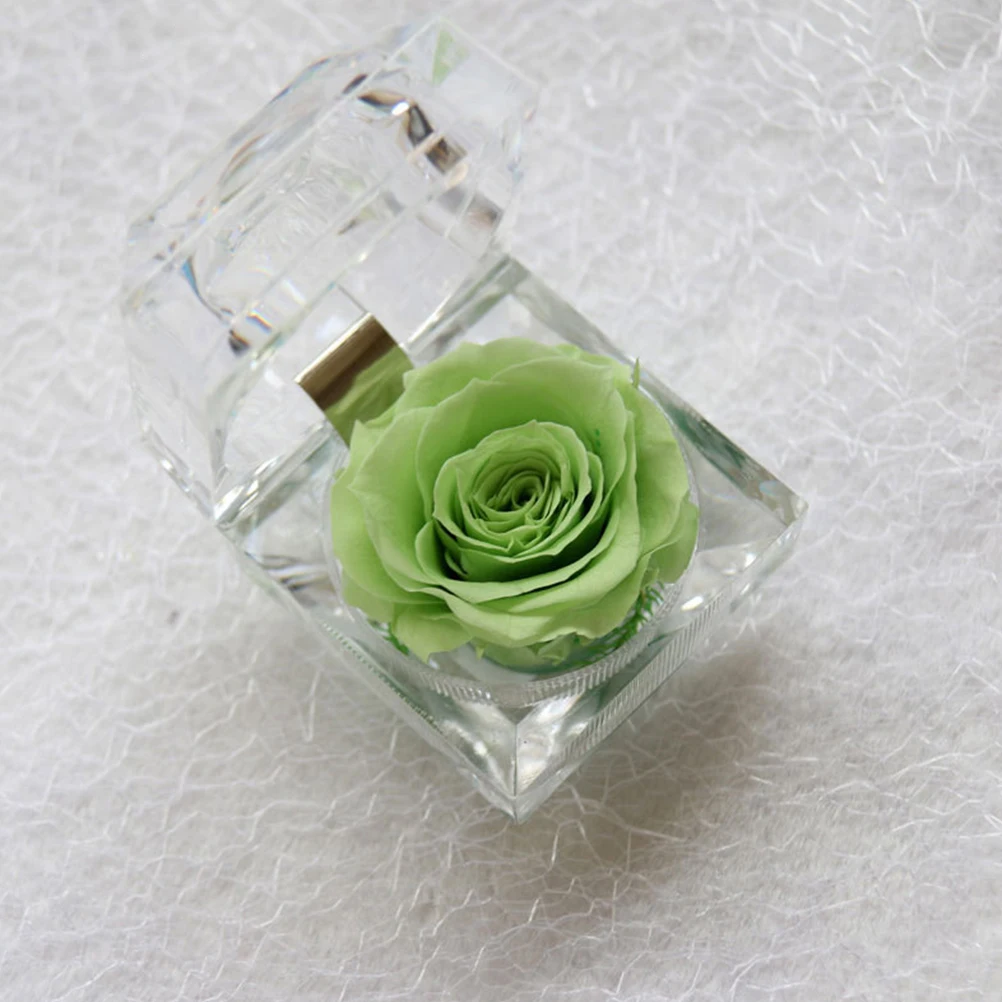 

Preserved Rose Eternity Flower Light Green Romantic Gift for Lover Bedroom Wedding Birthday Anniversary Rose Gifts