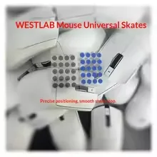 WestLab PTFE UPE+Soundproofing Foam Small Round Dots Mouse Skates Control Speed Mice Feet Glides For Cloth Hard Glass Mouse Pads