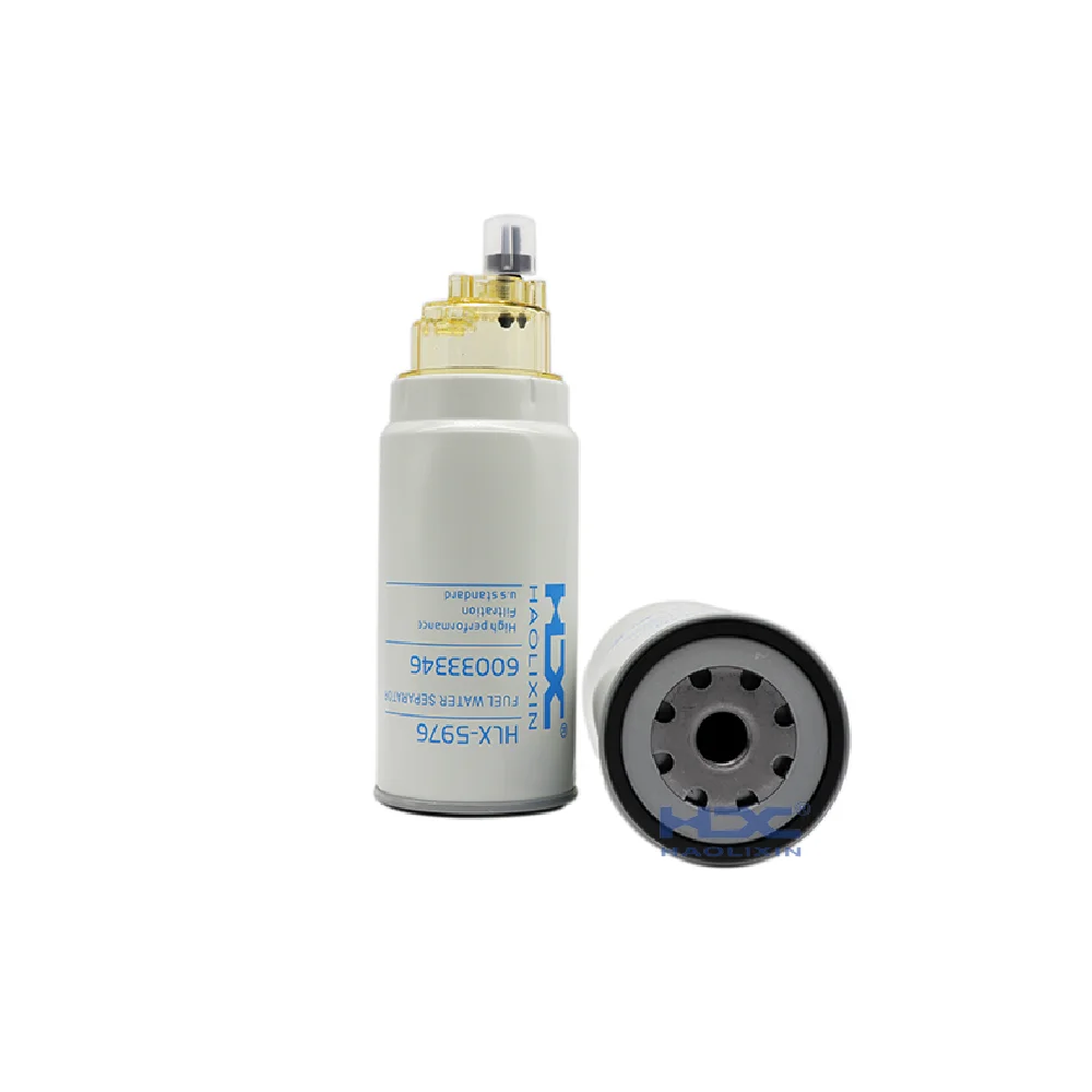 

Excavator Fuel filter for HLX-5976 FS19769 FS20071 P550778 R010017 SFC-7939-30 PL420 61230080088 BF1297-O BF1383 4110000112006