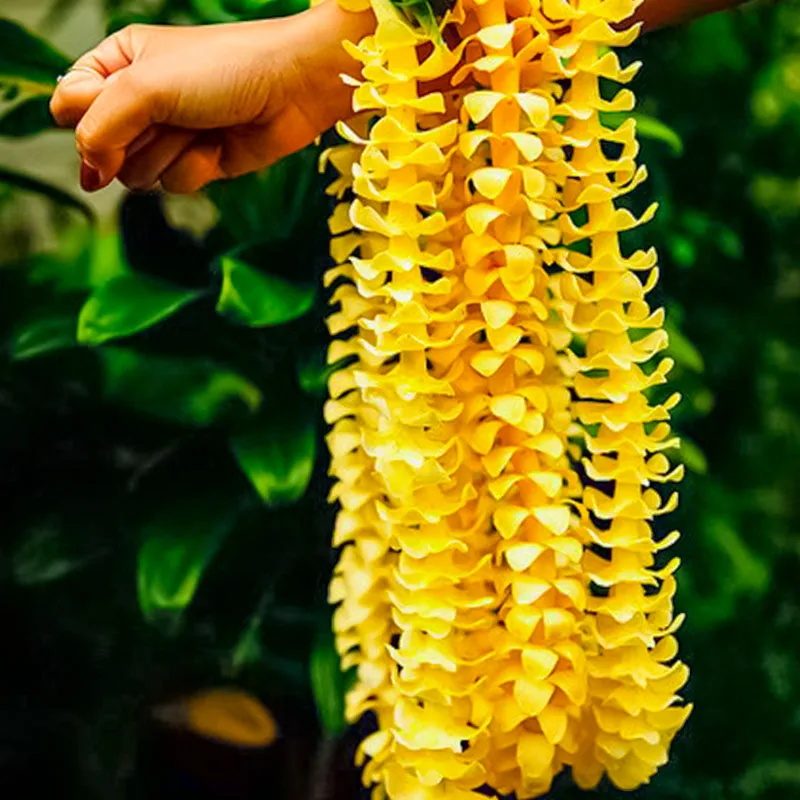 Puakenikeni Lei en mousse artificielle pour la danse Hula, fête hawaïenne, magnifique fête hawaïenne, guirxiété de mariage, printemps et été