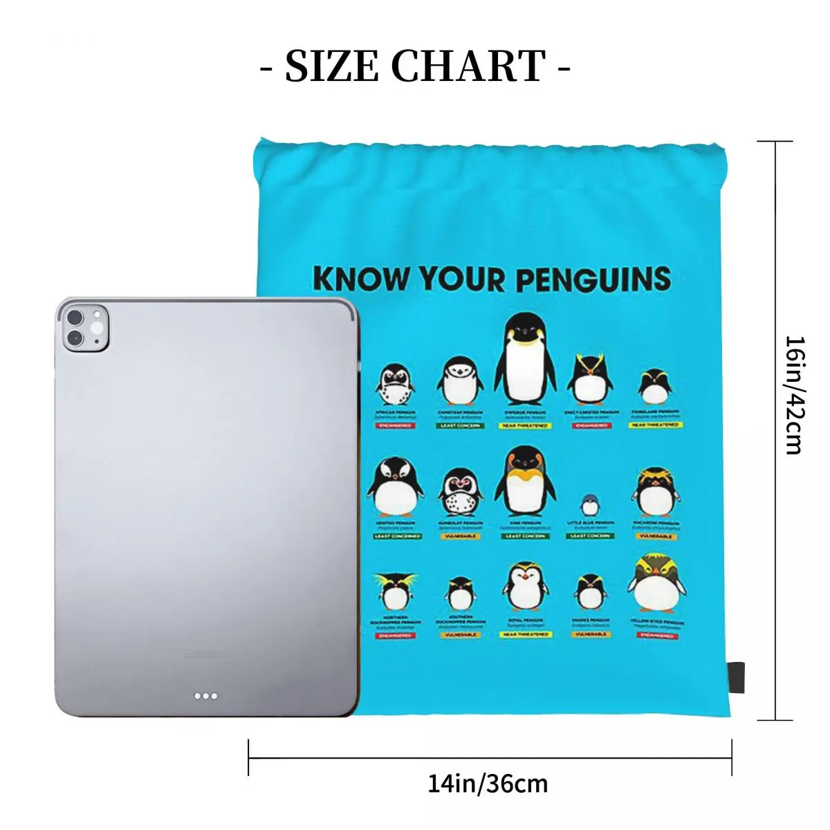 Know Your Penguins Backpacks Multi-function Portable Drawstring Bags Sports Bag Book Bags For Travel School