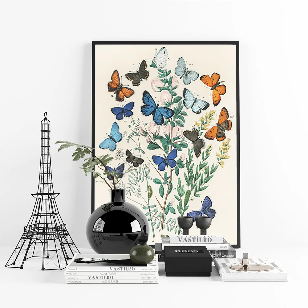 Henry Noel Humphreys Exhibition Museum Print Art Poster Butterfly Animal Canvas Painting Wall Hanging Picture Living Room Decor