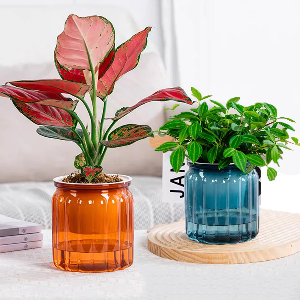 

Self Watering Flower Pot Transparent Plastic Hydroponic Plants Pots Succulent Planter Tabletop Vase For Home Decoration Bonsai