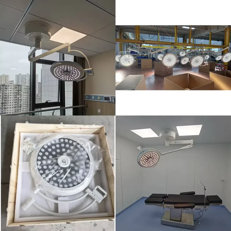 Single Arm Surgical Light LED Shadowless Ceiling Dental Light for Veterinary Use