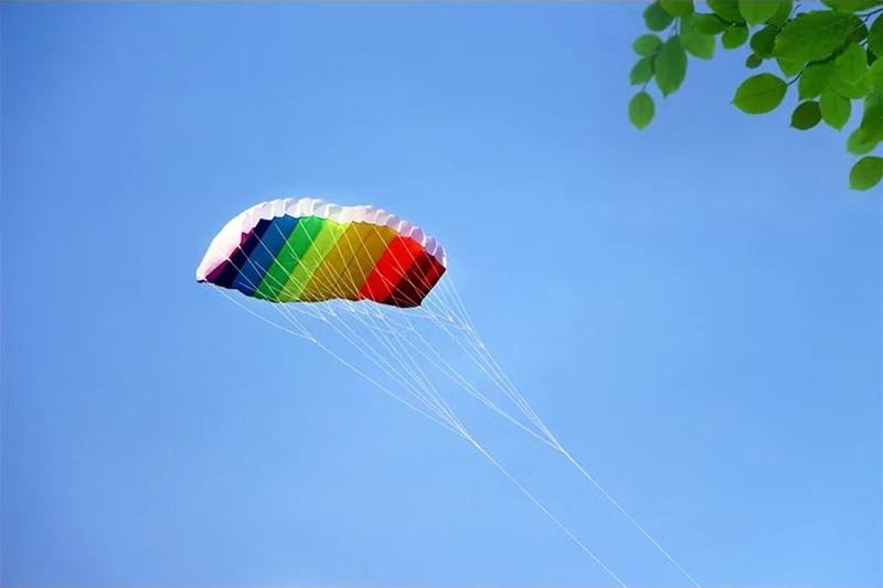 free shipping 270cm dual line large Parafoil kites fly Sports Beach stunt kite control bar outdoor toys rainbow high Line winder