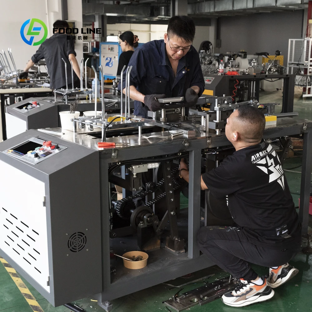 Fully Automatic Small Customized Disposable Thermocol Lunch Box Machine New Design Easy Operate Food Carton Forming Machine