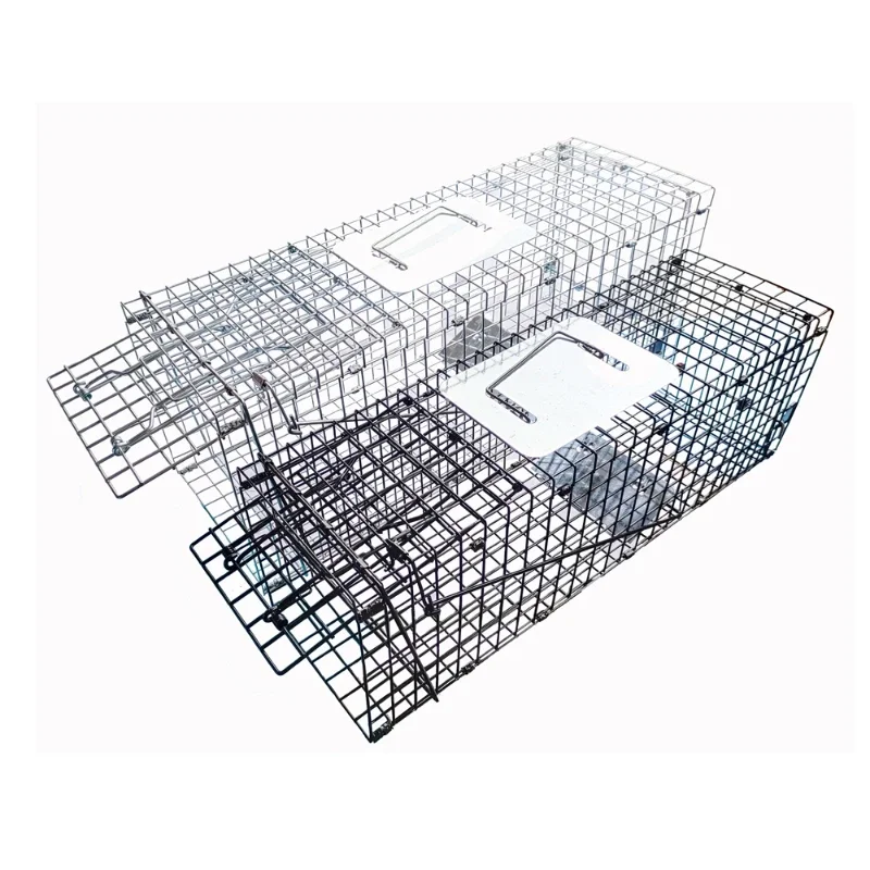 

S M L XL Humanized Folding Catch and Release Live Wildlife Traps Rabbit Weasel Cat Squirrel Fox Trap Cage Small Animal Trap