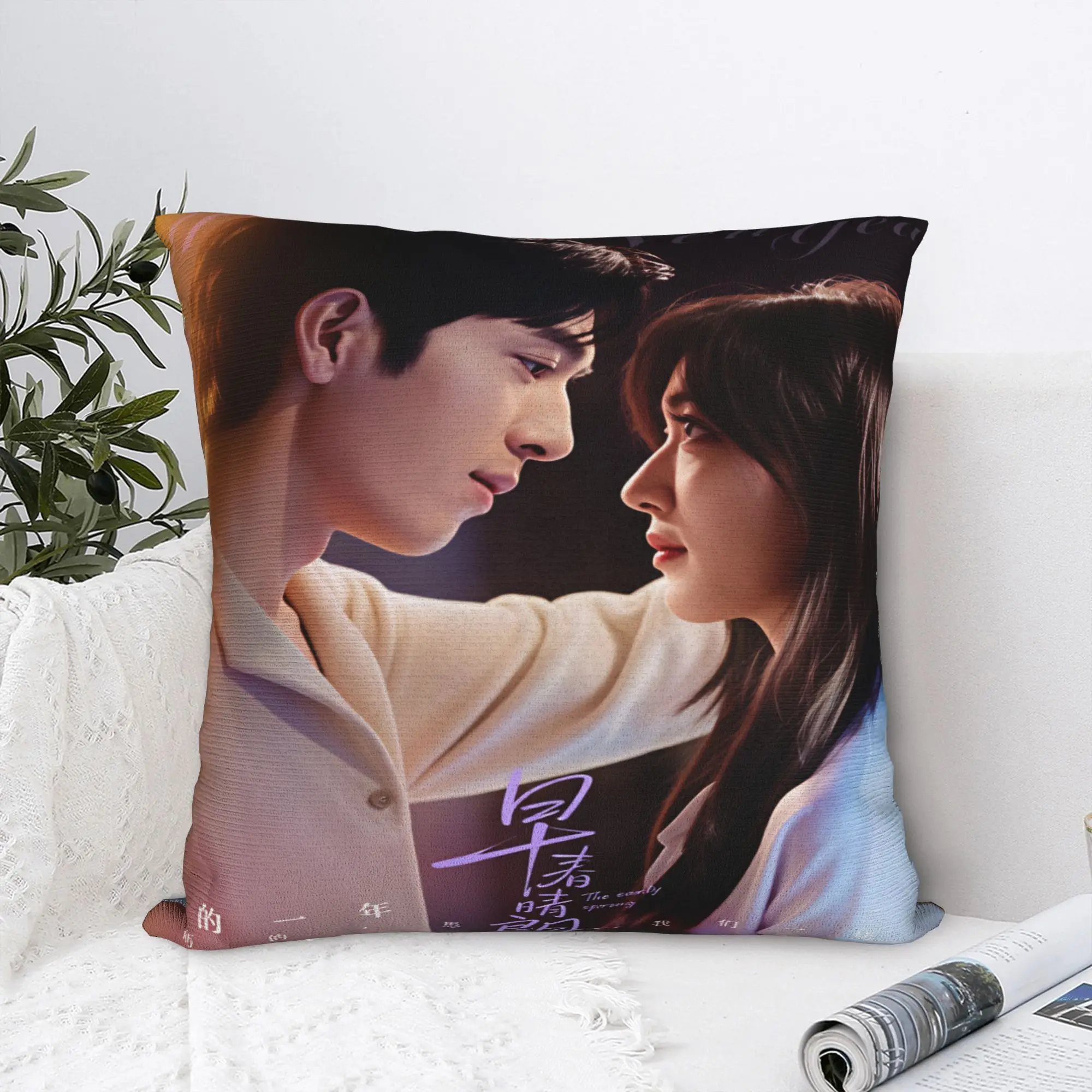 The Early Spring Pillowcases C Drama Morden Pillow Case For Living Room Sofa Comfy Pillow Cover