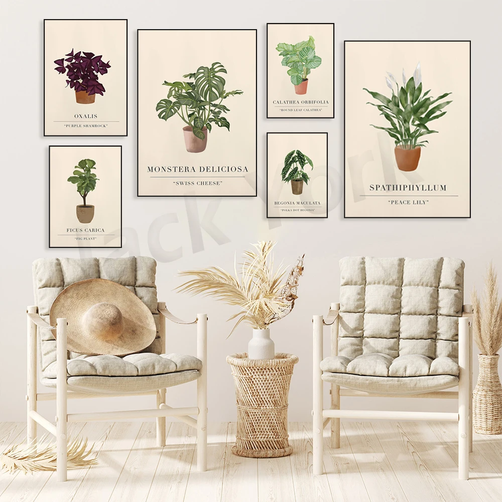 Plant Art Print. Botanical Wall Art. House Plant Print. Botanical Plant Poster. Plant Lover Gift. New Home Gift.