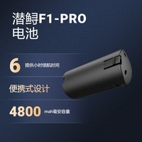 CHASING Sneak innovation F1PRO submersible sturgeon underwater drone nesting boat 4800mAh spare battery