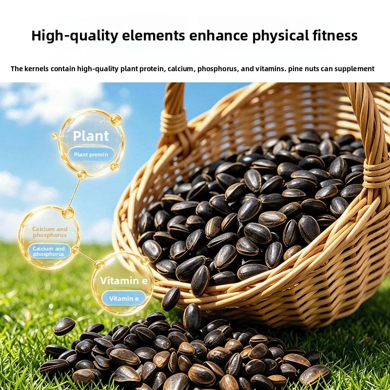 Natural Thin Shell Pine Nuts for Parrots, Unsalted Bird Training Treats for Cockatiel Budgie Conure, High Value Reward Snack