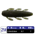 2.2INCH C-21