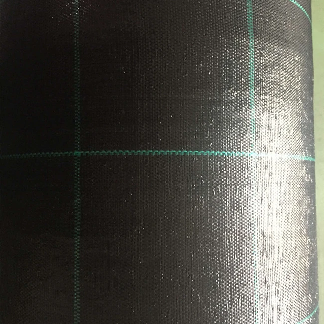 2025년 온실용 농업용 지표 덮개