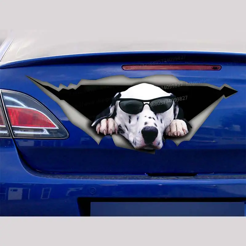 Dalmatian Pet Dog Car Sticker Waterproof Vinyl Decal on Bumper Rear Window Laptop Self-adhesive Decal For Car Accessories SH168