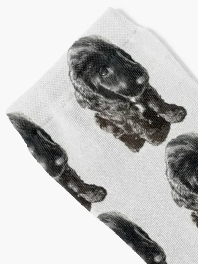 English Cocker Spaniel Black Puppy Dog - Adorable! Socks Toe sports floral Male Socks Women's