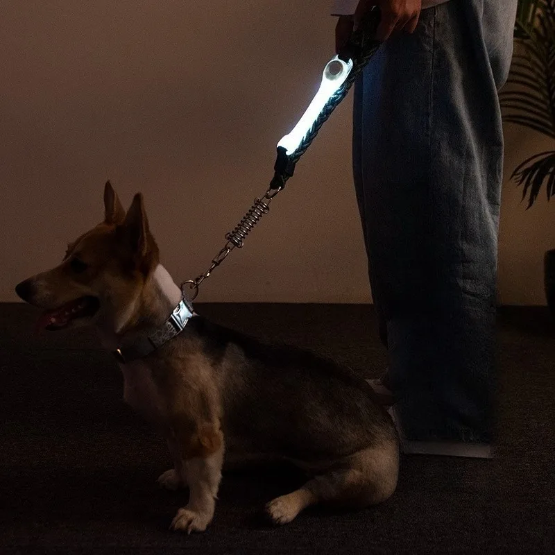 Pet LED Safety Light, Waterproof Glow Pendant for Dog Cat Night Walking, Anti-Lost Flash Light Reflective Armband Night Running