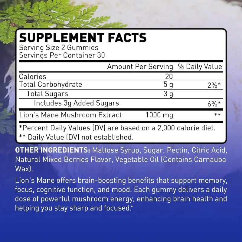 Lion Mane Mushroom Gummies, 1000mg, Vegan and Gummies, Gummies, Mixed Berry Flavor, 60 gummies view 5