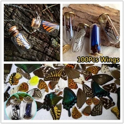 100Pcs/Set  Real Natural Specimens Butterfly Wings DIY Jewelry Artwork Art Hand Craft Happy ING