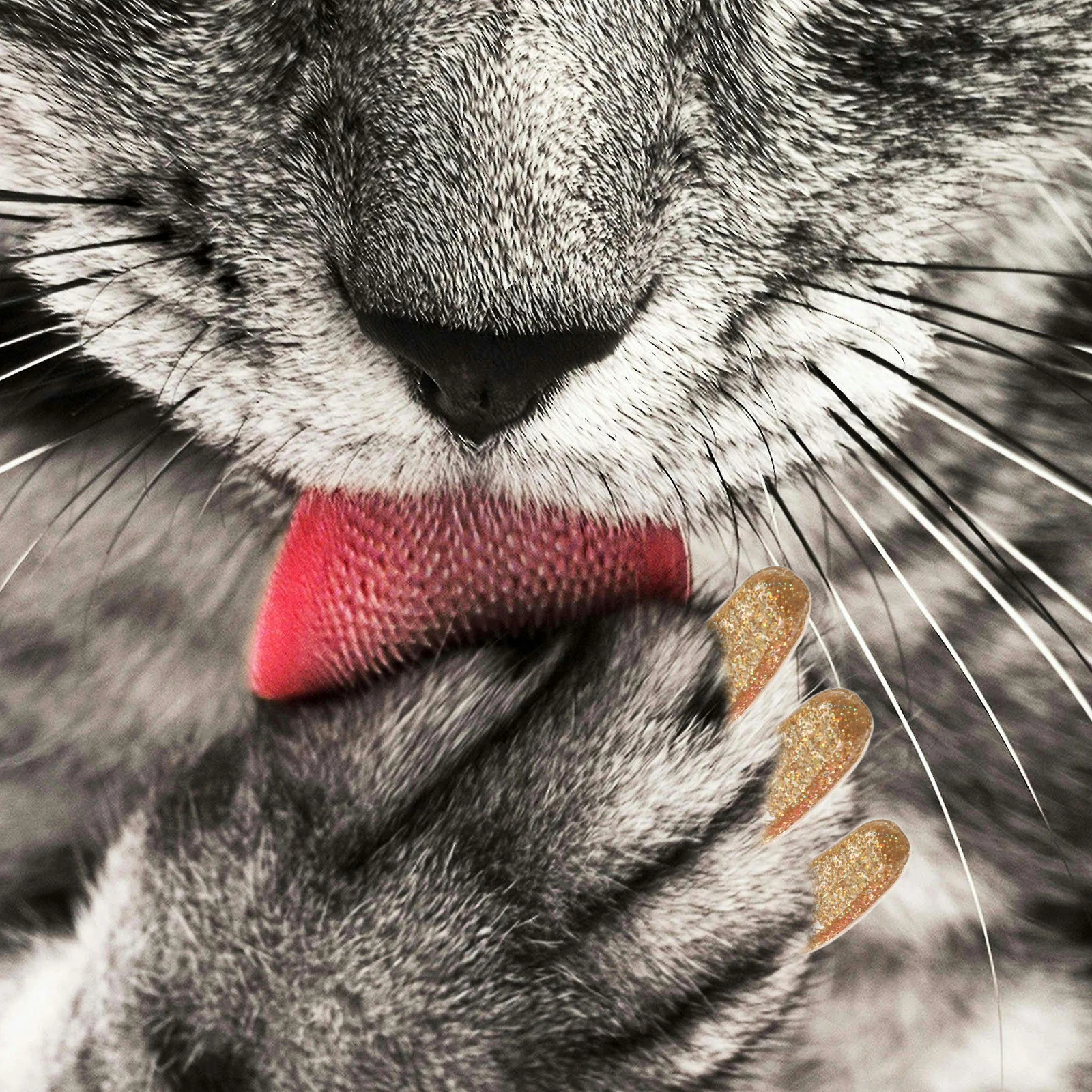 

140pcs Pet Anti Scratch Claw Protector for Cats Silicone Gel Covers Durable niture Guard Cat