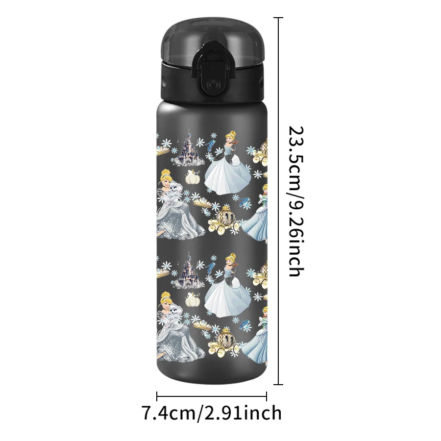 1 Stück Disney Aschenputtel/Schloss/Motiv 26 Unzen Kunststoff-Wasserflasche Sportbecher als Geburtstags-/Schulgeschenk