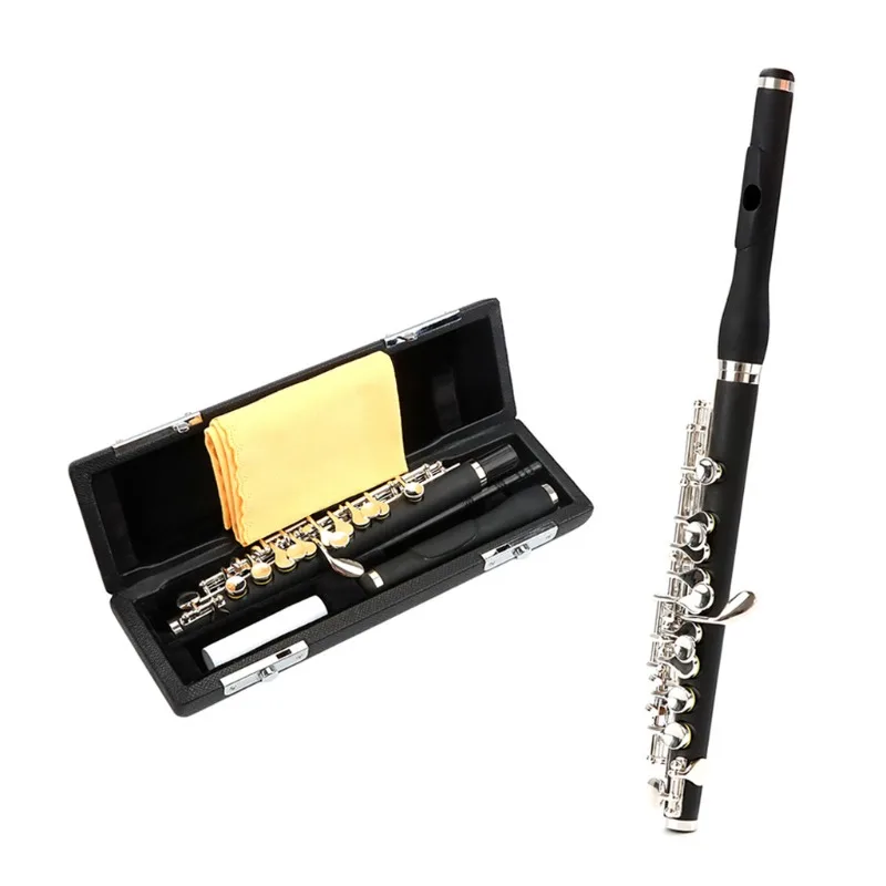 Musical instrument accessories, black piccolo box