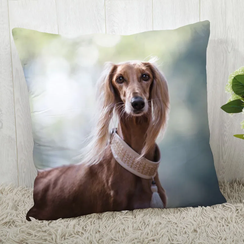 Dog Afghan Hound Pillowcases Custom  Modern Home Living Room