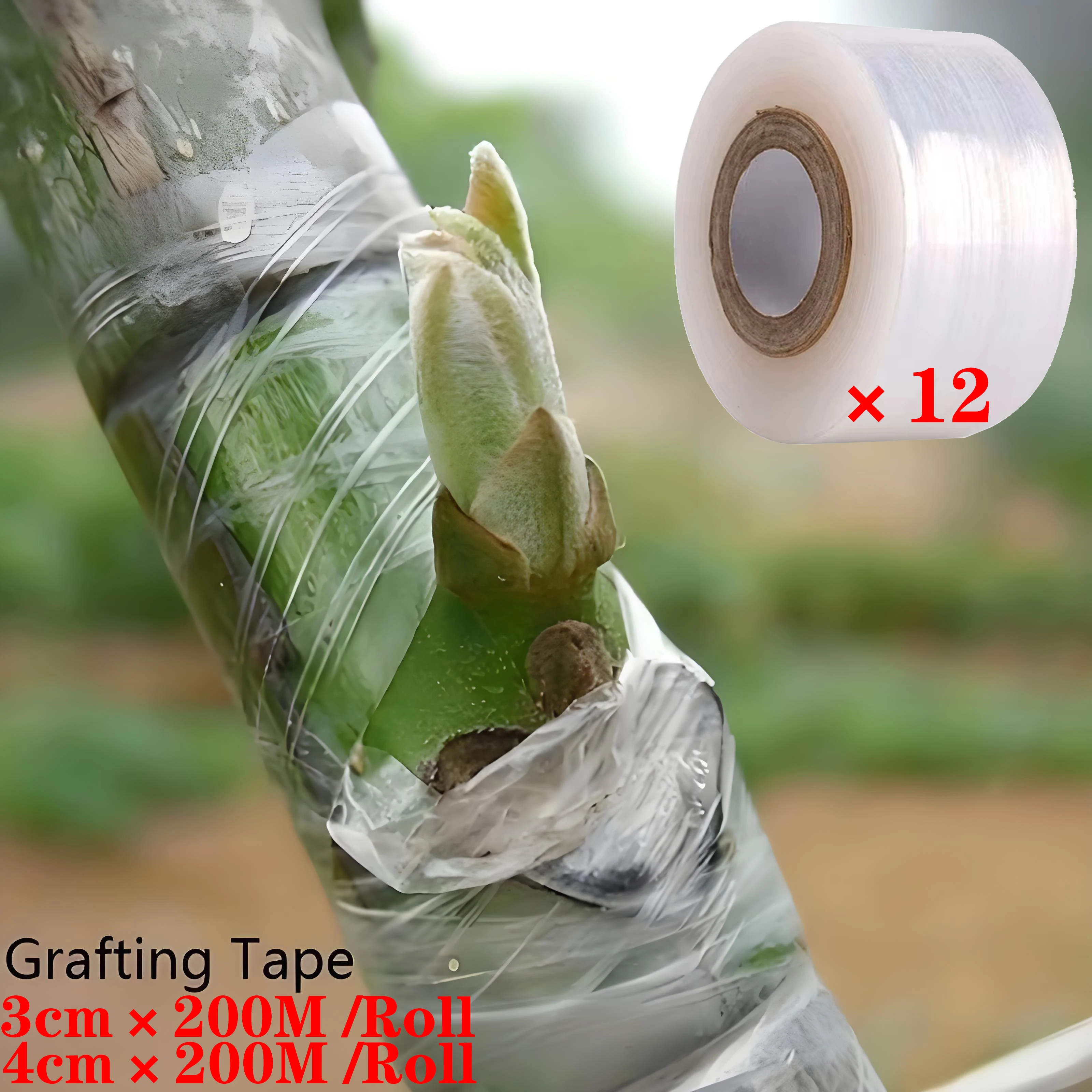 Self-adhesive wound PE grafting tape film, stretchable, horticultural tree plant seedlings, grape and tomato grafting accessorie