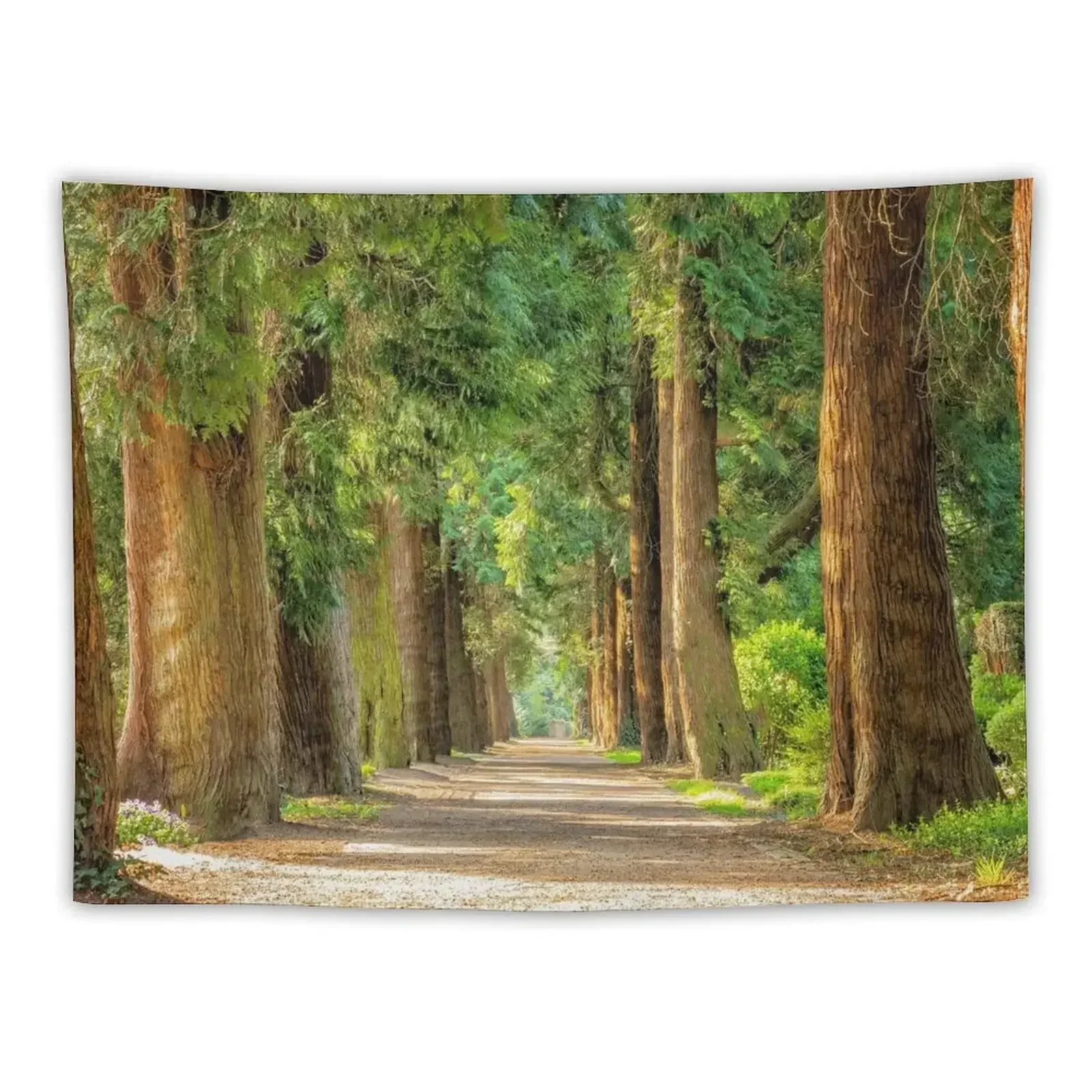 

Back country road avenue of redwood trees nature forest color landscape photography Tapestry Custom Tapestry