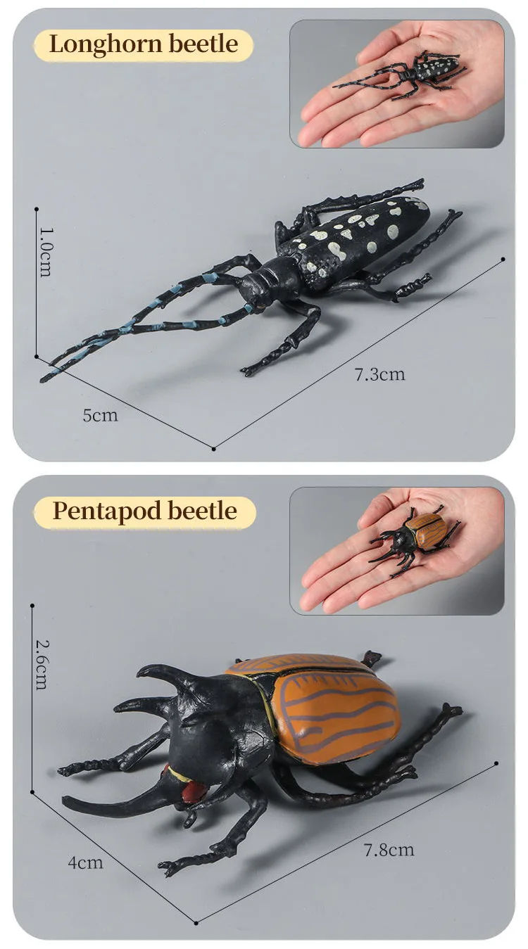 Pädagogisches Insekten-Tiere-Modell-Spielzeug-Set mit Schmetterling, Biene, Libelle, Mantis, Ameise, Schnecke, Actionfiguren für Kinder, Sammlung, Dekoration – Detail 6