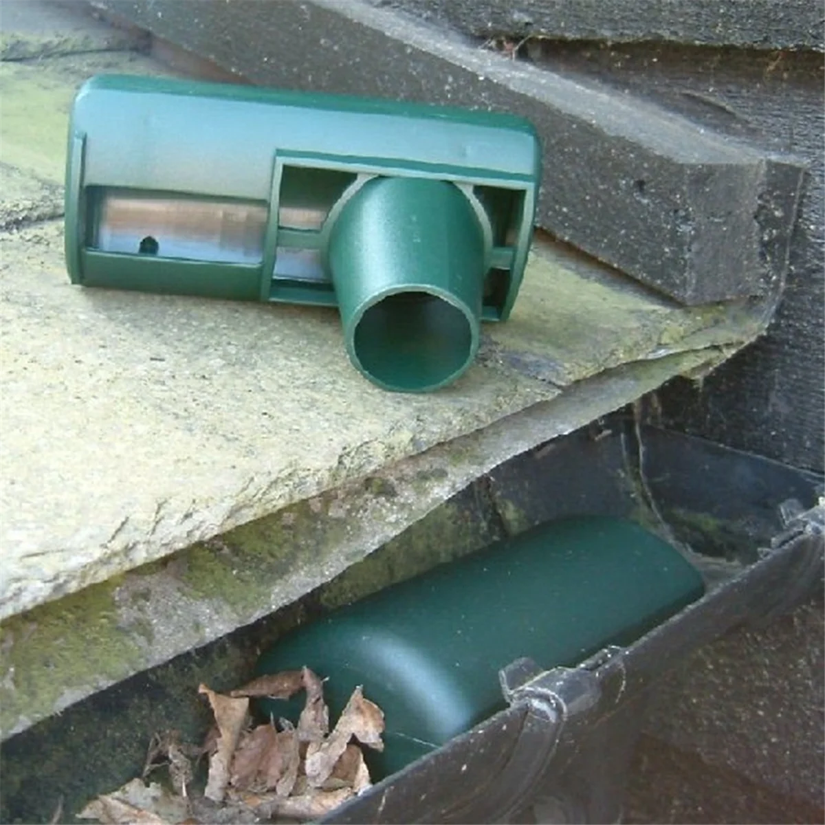 1PC Dgo-Ngarden Too… - image