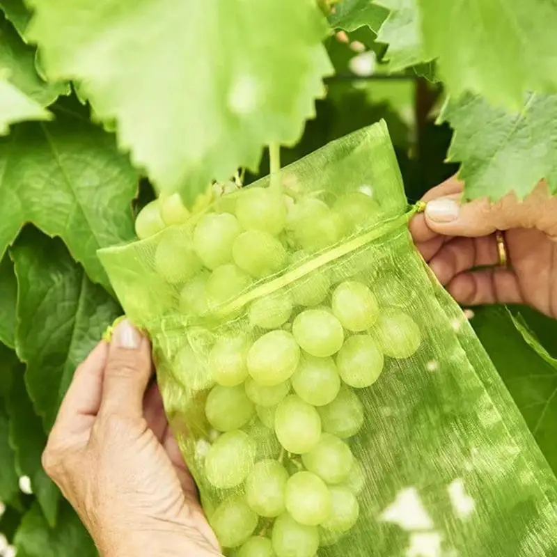 100pcs Fruit Netting Bags Anti-Bird Garden Netting Bags Grape Protection Bags Garden Mesh Bag Fruits Net Cover With Drawstring