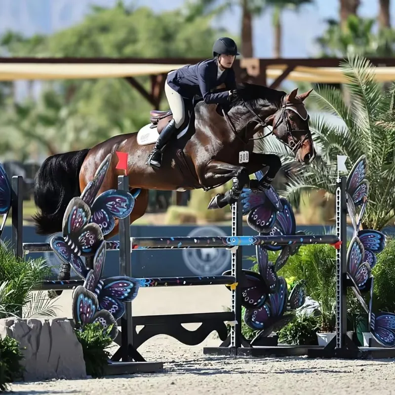 

Premium Equestrian Stylish Wing Butterfly Designs Customized Standard Horse Show Jump for Racing Training and Shows