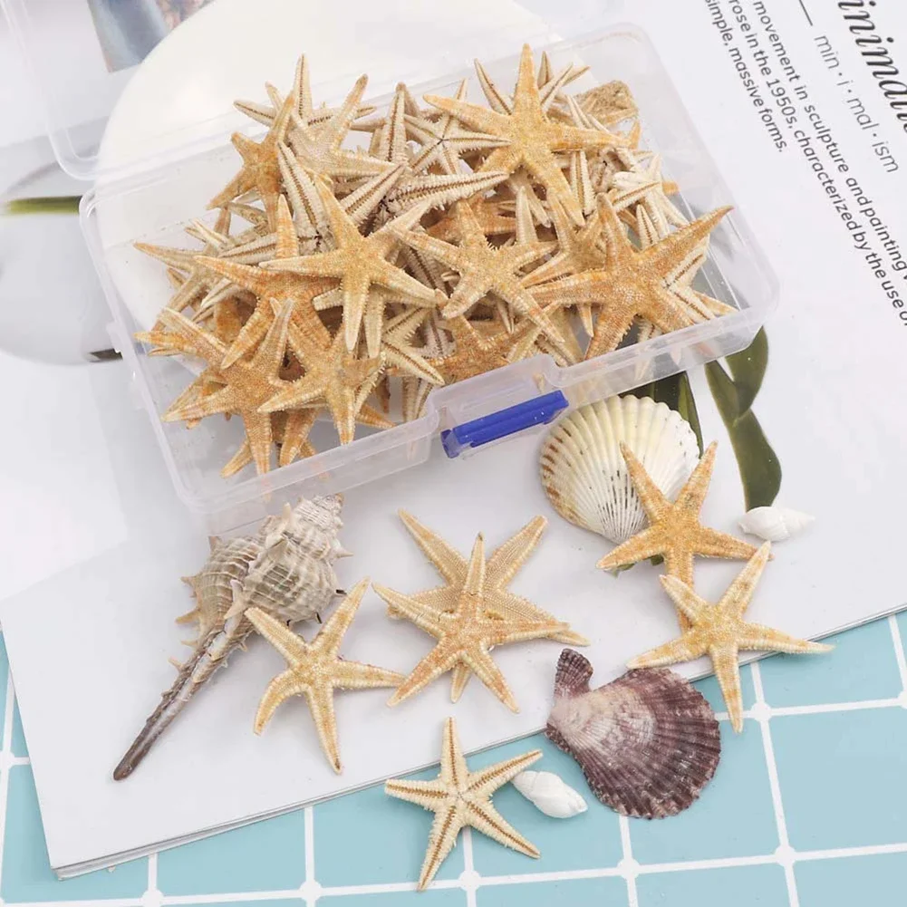 1 Box Starfish Seashell Practical Mixed Starfish Seashell Portable Natural Mixed Reusable Realistic White Star Fish Tank Decor