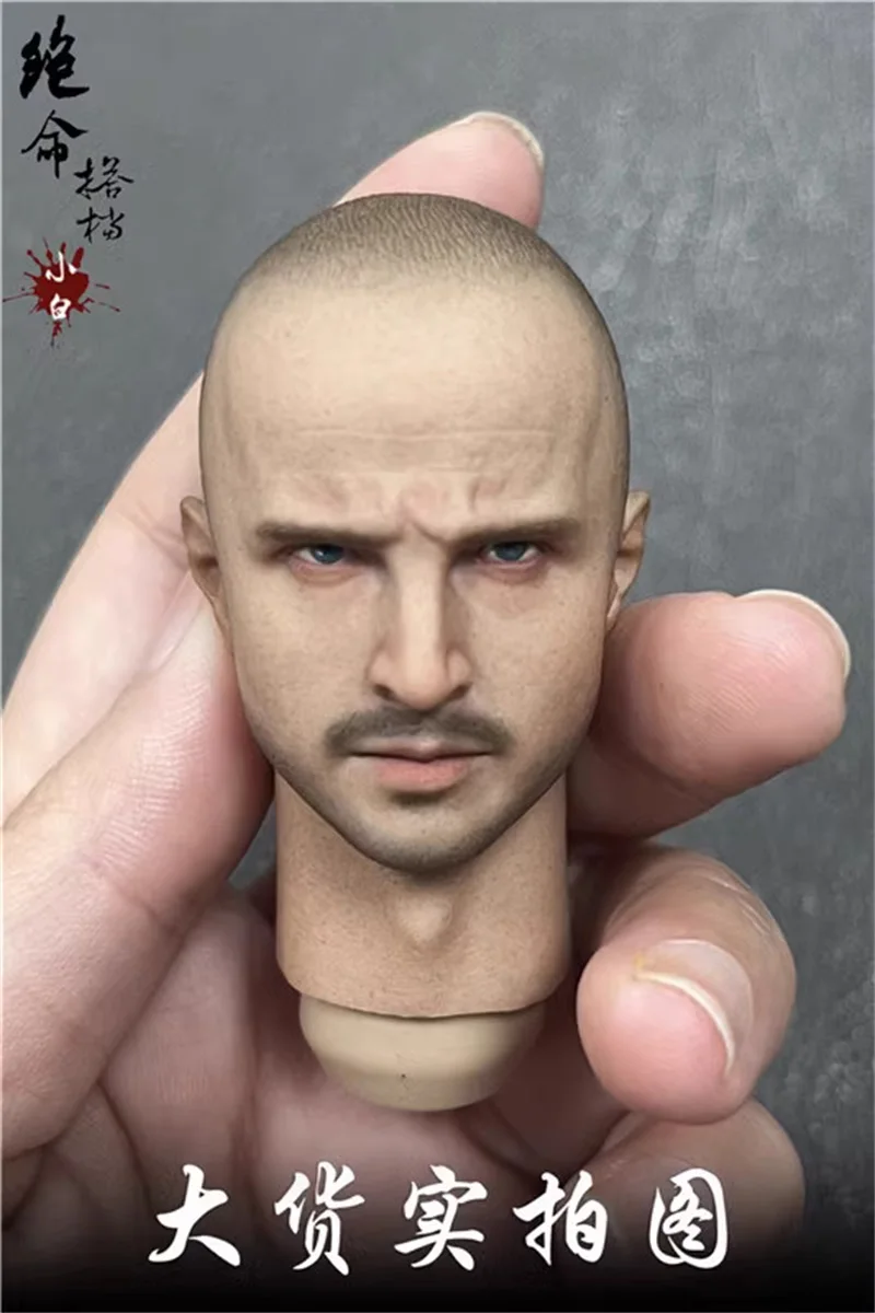 New Arrival 1/6 The Breaking Bad Series Aaron Paul Handsome Guy Male Head Sculpt Carving For 12