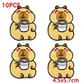 PE16802CT