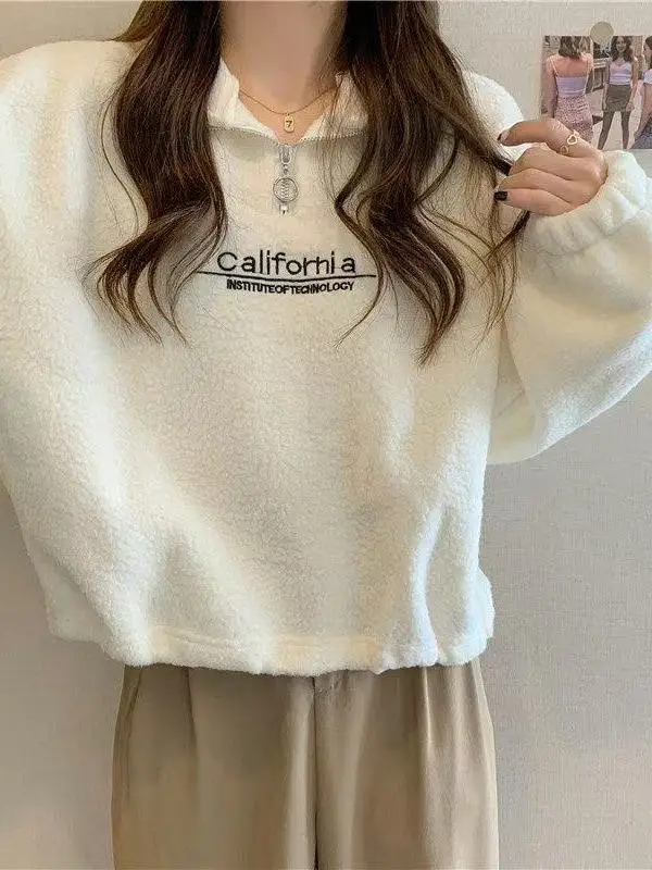 

Утепленная флисовая толстовка на молнии с воротником-стойкой, женская, свободного кроя, корейская версия, осень-зима, новинка, студенческий стиль