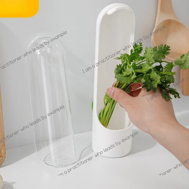 Vanilla vegetable crisper Environmental protection crisper Coriander crisper