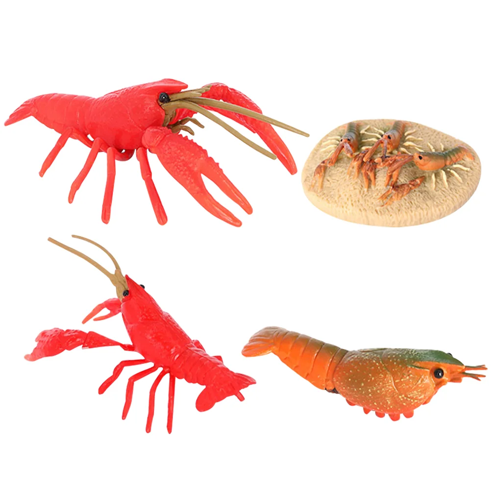 

Lobster Growth Cycle Kids Toys Animal Evolution Models Red Plastic Simulation Animals